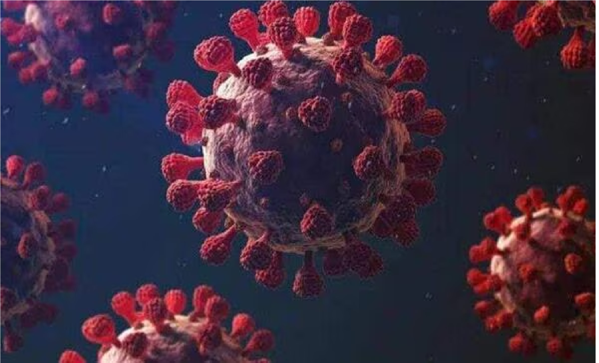 Bird Flu: રાંચીમાં જોવા મળ્યો બર્ડ ફ્લૂ, આટલા પક્ષીઓના થયા મોત 1 Bird Flu Bird flu was found in Ranchi so many birds died 1