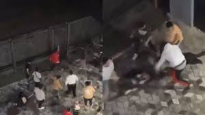 Kyegyzstan Violence Update: 4 પાકિસ્તાની વિદ્યાર્થીઓને કિર્ગિસ્તાનમાં માર મારવામાં આવ્યો, એસ જયશંકરે કહ્યું આવું 2 kyrgyzstan bishkek violence update lynching of three pakistani medical students india issues advisory 1