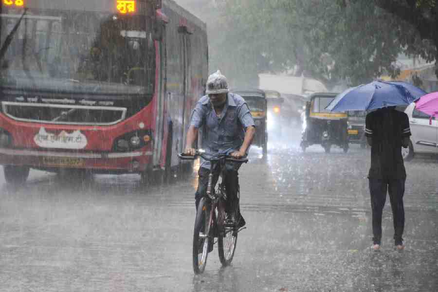 heavy rain in up mp gujarat maharashtra bihar rajasthan extreme rain alert in kerala tamilnadu read this weeks weather forecast here 3