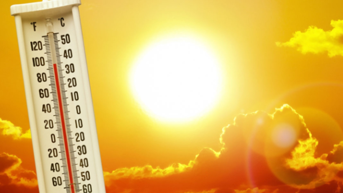 National News : 1951 પછી ઉત્તર-પશ્ચિમ ભારતના આટલા ટકા લોકો ઝેલી રહ્યા છે ભયંકર ગરમી, ઘણા વિસ્તારોમાં તાપમાન 40 ડિગ્રીને પાર 4 more than 50 percent of northwest india is facing the worst heat wave since 1951 4