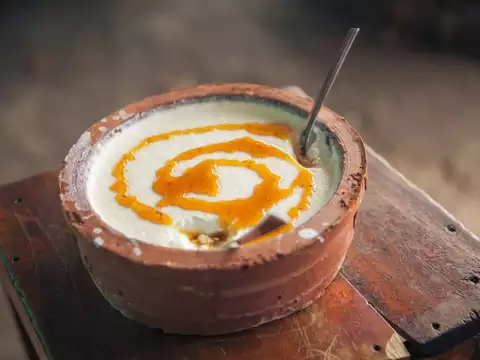 remedies for shukra dosha with curd tips from astrologer shukra dosh upay 1