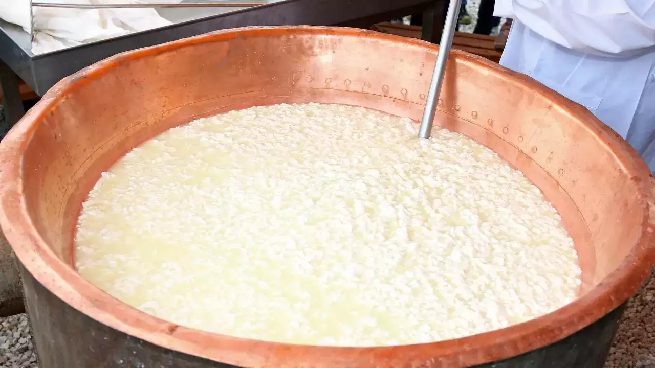 remedies for shukra dosha with curd tips from astrologer shukra dosh upay 2