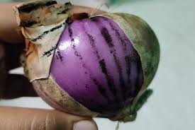 ડુંગળી પર કાળા ડાઘ આ લોકોને નુકસાન પહોંચાડી શકે છેer