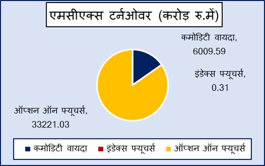 Hindi Graph MCX Turnover