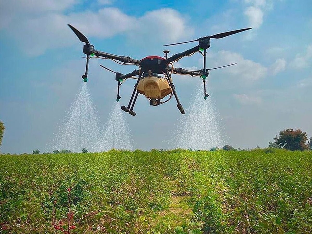 dhanuka agritech ltd share jumps 12 percent strong q4 result dividend announced