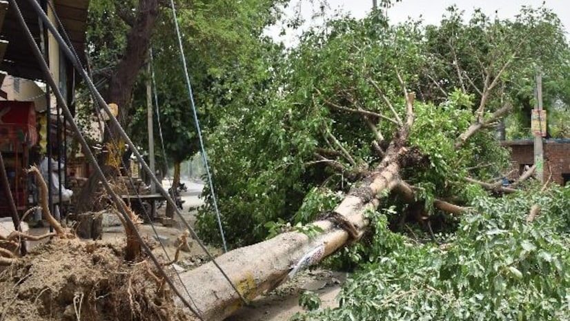 jodhpur heavy rains with strong winds trees uprooted and electric poles at some places