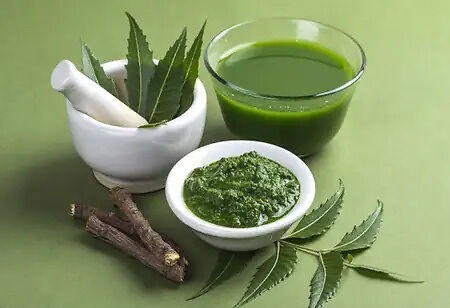 neem leaves benefits for skin problems reduce acne pimple scars