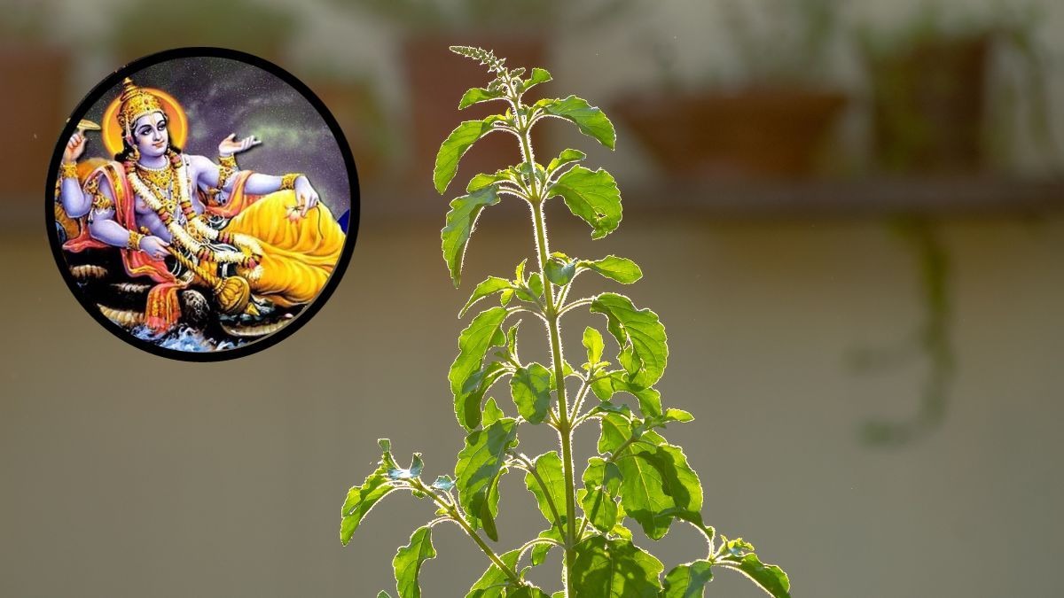 nirjala ekadashi vrat 2025 date and time tulsi chalisa ka path or more