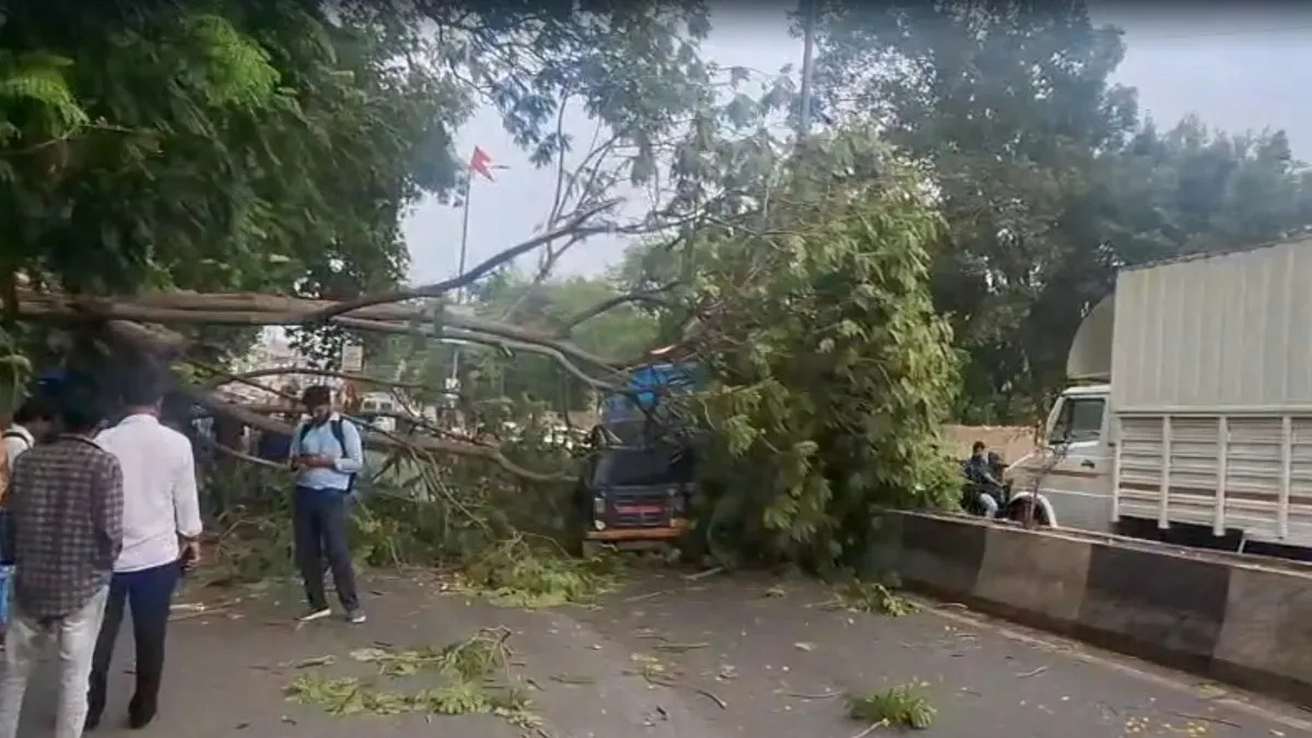 rain and storm wreaked havoc in gujarat 14 dead alert for heavy rain and storm for the next few days1